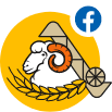 Social feed logo